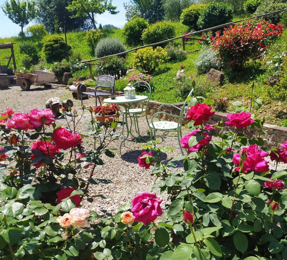 Apartament Casa Elisa Montaione Zewnętrze zdjęcie